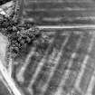Oblique aerial view centred on the cropmarks of the settlement and linear cropmarks, taken from the WNW.