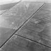 Falside Hill, linear cropmarks: oblique air photograph.