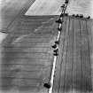 Crichton House, oblique aerial view, taken from the WSW, centred on the cropmarks of two sides of a possible enclosure.