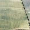 Oblique aerial view centred on the cropmarks of the settlement, taken from the N.