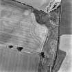Hassendean Bank, oblique aerial view, taken from the SE, centred on the cropmarks of a fort.