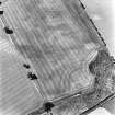 Hassendean Bank, oblique aerial view, taken from the ENE, centred on the cropmarks of a fort.