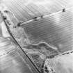 Hassendean Bank, oblique aerial view taken from the NNW, centred on the cropmarks of a fort.