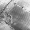 Hassendean Bank, oblique aerial view taken from the W, centred on the cropmarks of a fort.