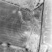 Hassendean Bank, oblique aerial view taken from the SE, centred on the cropmarks of a fort.