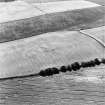 Oblique aerial view of Grizzlefield centred on the cropmarks of a fort, taken from the NNE.