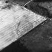 Bara Wood, oblique aerial view, taken from the NE, centred on the cropmarks of a possibly palisaded settlement, rig and a linear cropmark.