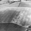 Oblique aerial view of Whitelaw Hill taken from the SW, centred on the cropmarks of a fort.