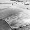 Oblique aerial view of Whitelaw Hill taken from the S, centred on the cropmarks of a fort.
