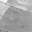 Oblique aerial view centred on the cropmarks, taken from the ESE.