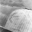 Aerial view of Preston Mains, taken from the NW, centred on the arc of a cropmark and ring ditches.