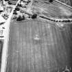 Chirnside, possible ring-ditch: oblique air photograph of cropmark.