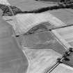 Oblique aerial view of Culvennan, taken from the NE, centered on cropmarks.