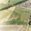 Holywood, oblique aerial view, taken from the SW, centred on the cropmarks of the N half of the S cursus monument, with further cropmarks scattered across the same field.