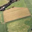 Oblique aerial view centred on the cropmarks of the Roman Temporary Camp and pit-defined cursus, taken from the NE.