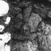Papa Westray, Munkerhoose excavation archive
Area 3: Skull in grave cut 3050. From W.
