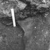Excavation photograph : Clay 549, sealing pit 539, looking north.