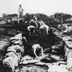 Excavation photograph : excavators working on souterrain.


(glass neg stored in box in negative room)