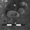 Excavation photograph : trench V - stone bowl.
