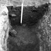 Excavation photograph : fills of pit f252, from W.