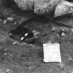 Excavation photograph : F220 - base of stone 1, and F235.