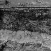 Excavation photograph : area N - fully revealed slates sloping down in bottom of slumps with dogs.