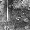 Yester, St Bathan's Chapel (Yester Chapel): Excavation photograph - Close up of disturbed burials at E end of Trench 1 - from S