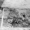 Excavation photograph : area IV - f402 pseudo palisade trench created from natural under posthole f405, from north.