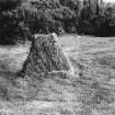Culloden Moor, General view of gravestone inscribed 'Clan Stewart of Appin.'