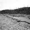 Erosion exposure in settlement mound Dr.R.Lamb