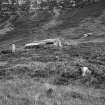 From S, showing isolated boulders which appear to be remains  of a sub peat dyke  R Lamb 1985