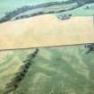 Aerial view of cropmark of S gate of Stracathro Roman Camp, Brechin, Angus, looking NE.