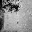 View along base of Old Tulliallan Castle.