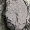 Orthmosaic image of Old Kilmadock 1 carved stone
