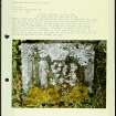 Photographs and research notes relating to graveyard monuments in Kirkconnel Old Churchyard, Dumfries.