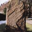 Pictish cross slab in manse garden, view of east (back) face (sunlight)