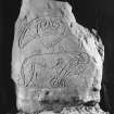 Strathmartine no 1 Pictish symbol stone showing crescent and v rod and Pictish beast symbols