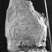 Strathmartine no 1 Pictish symbol stone showing crescent and v rod and Pictish beast symbols (with scale)