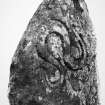 Detail of serpent symbol on Aberlemno no 1 Pictish symbol stone