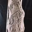 Flemington, Aberlemno, Pictish symbol stone, displaying horseshoe above Pictish beast symbol (with scale)