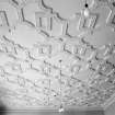 Minto House, interior
View of plasterwork ceiling of library