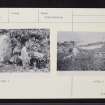 Tiree, Ceann A' Mhara, NL94SW 2, Ordnance Survey index card, page number 1, Recto