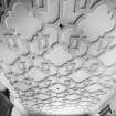 Minto House, interior
View of plasterwork ceiling in library, ground floor