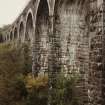 Tarrasfoot Viaduct. View of SW elevation from SE bank.