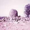 View of the Cat Stane.