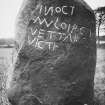 View of the Cat Stane with chalk enhancement.