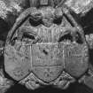 Aberdeen, North and East Church of St Nicholas, Crypt, interior
Detail of carved central boss over South compartment.