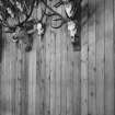 Wall, panelling and deer antlers, detail