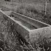 View of concrete drinking trough, between mill and steading