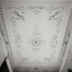 Inverarary Castle, interior.
General view of ceiling of private drawing room.